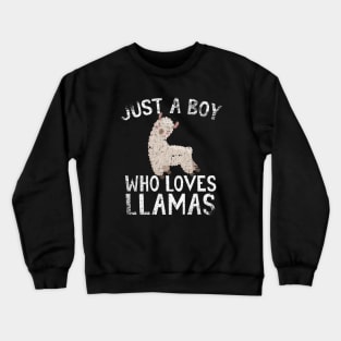 Just A Boy Who Loves Llamas Crewneck Sweatshirt